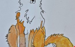 A RAPOSA